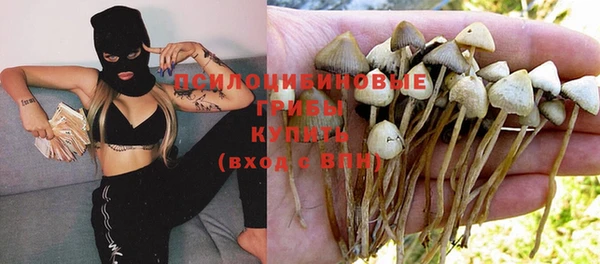прущая мука Абинск