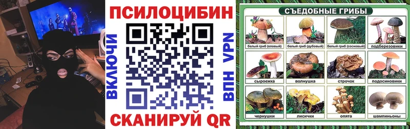 Галлюциногенные грибы Psilocybe  Магнитогорск 