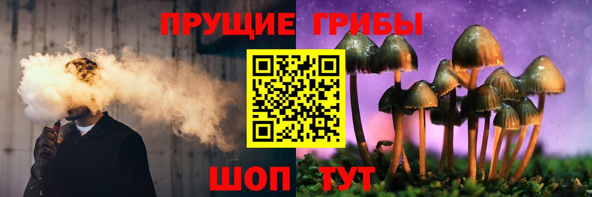 Магнитогорск  Галлюциногенные грибы ЛСД  купить наркотик  Вход с VPN  Псилоцибиновые грибы Cubensis 